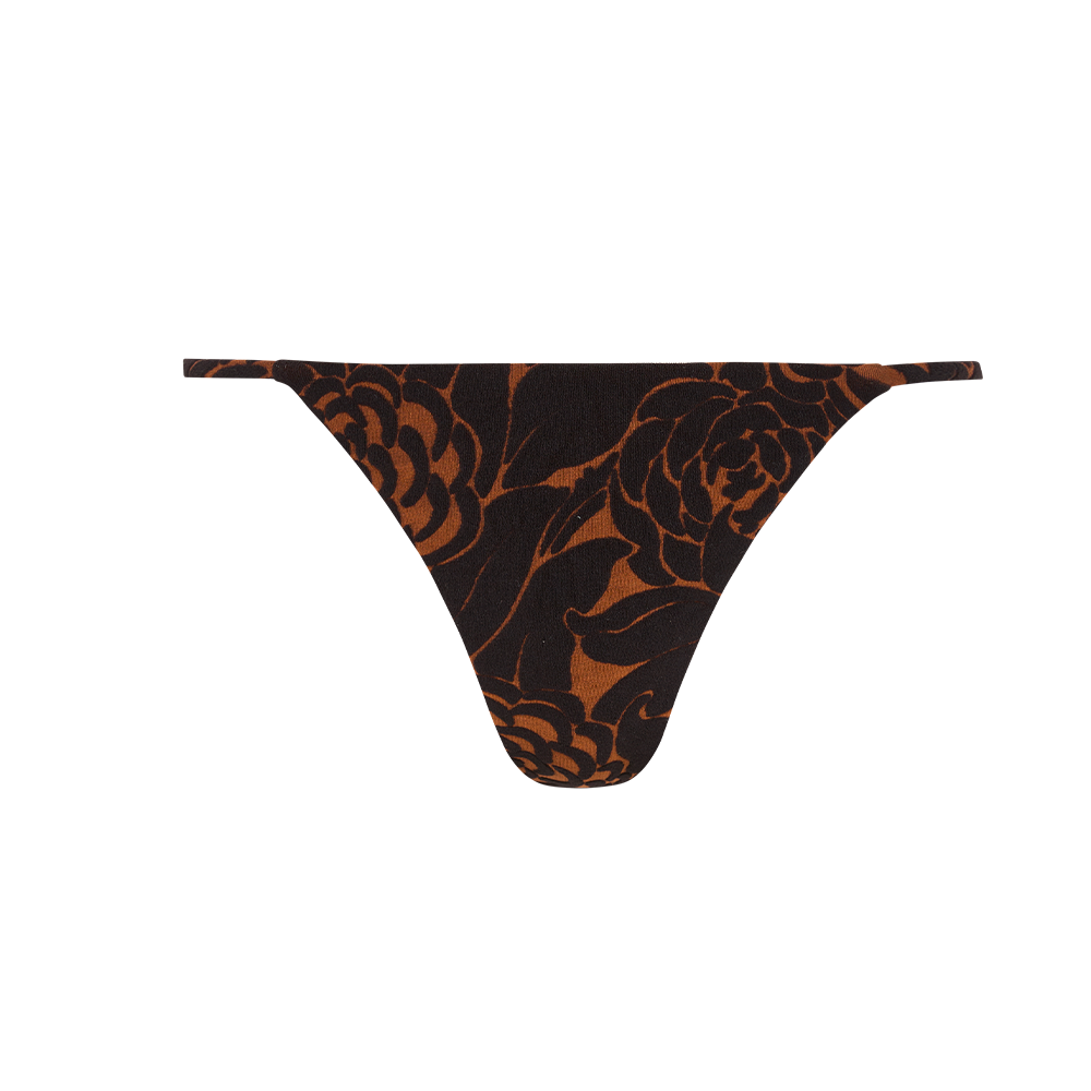Dawn Brief