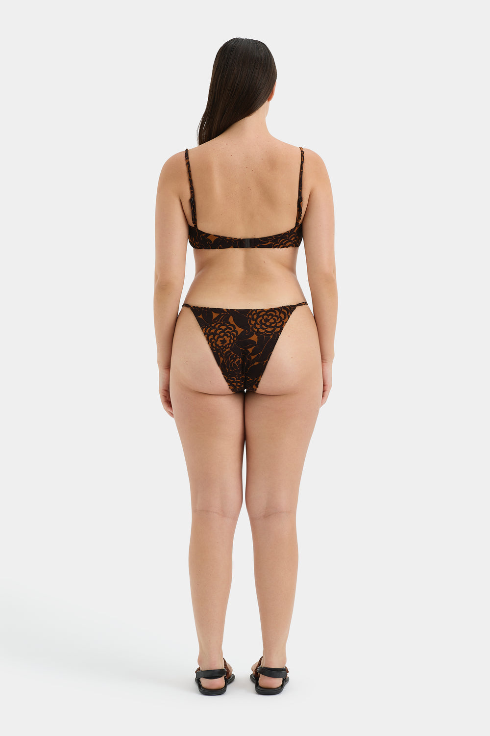Dawn Brief