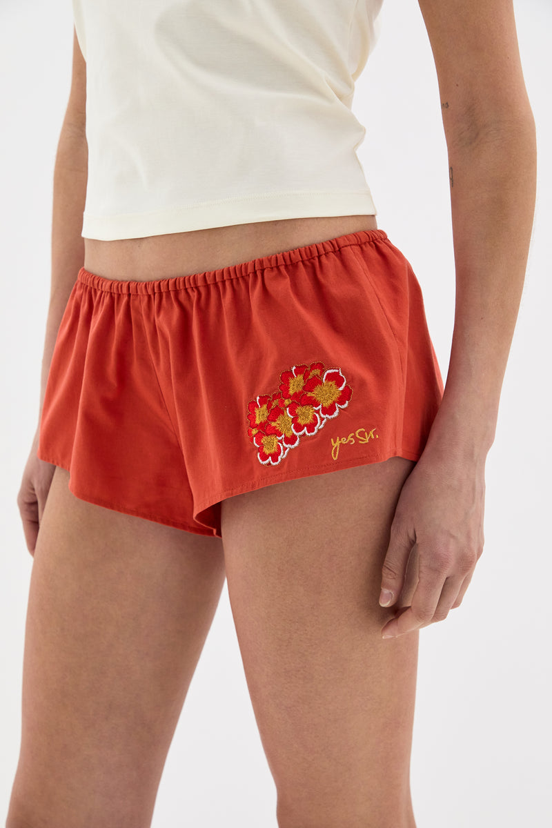 Skylar Embroidered Micro Short
