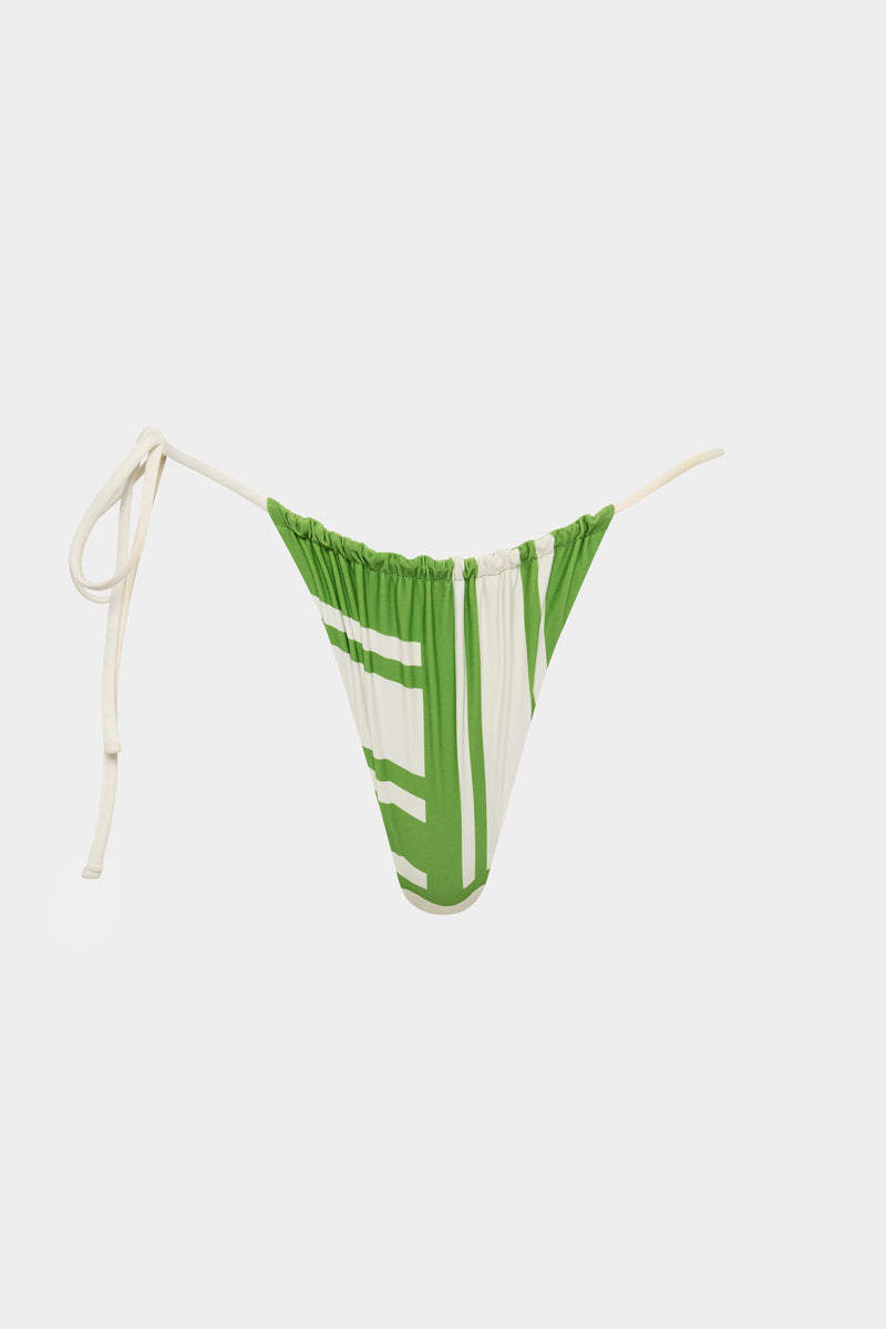 Carlo String Brief