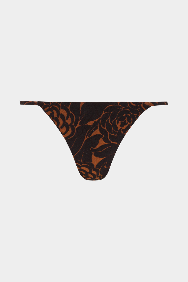 Dawn Brief